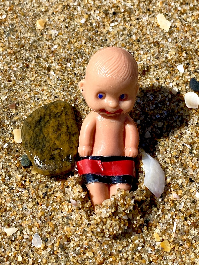 Brutus Baby and the Seashells 21